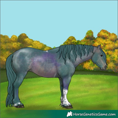 Horse Color:Watercolor Bay Tobiano