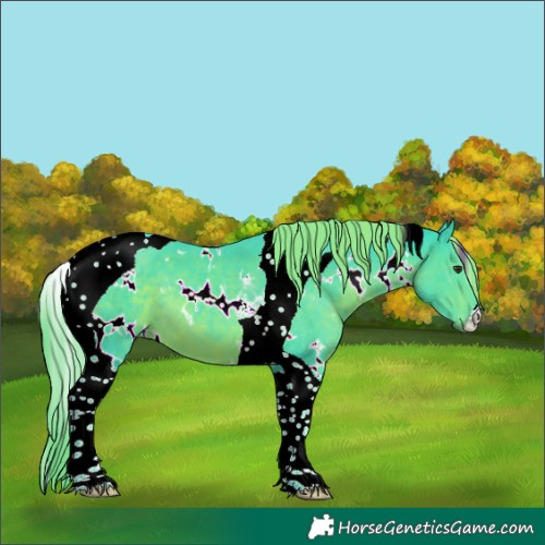 Horse Color:Watercolor White Spotted Liver Chestnut Tobiano