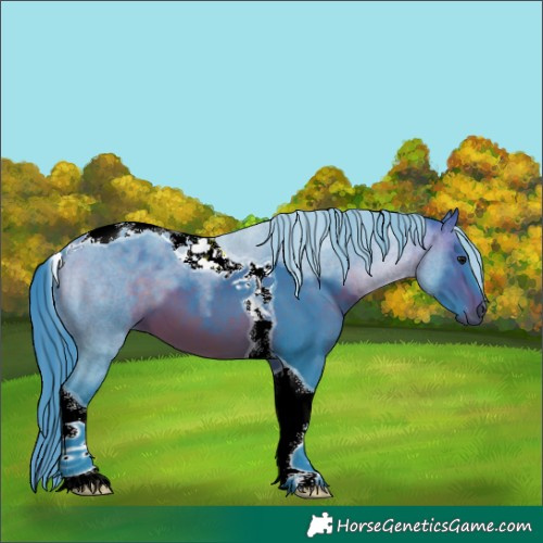 Horse Color:Watercolor Brown Tobiano 