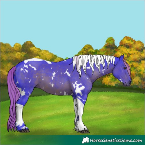 Horse Color:Watercolor White Spotted Liver Chestnut Tobiano 