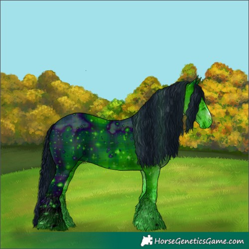 Horse Color:ERROR: UNKNOWN ANOMALY