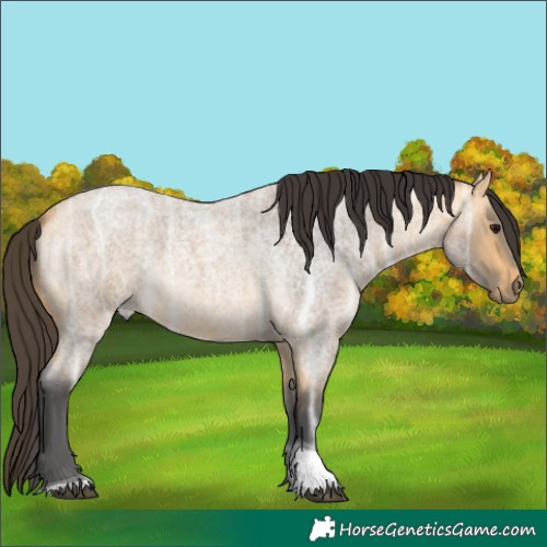 Horse Color:Buckskin Ice Roan Tobiano