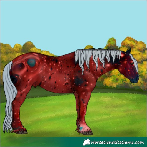 Horse Color:ERROR: UNKNOWN ANOMALY