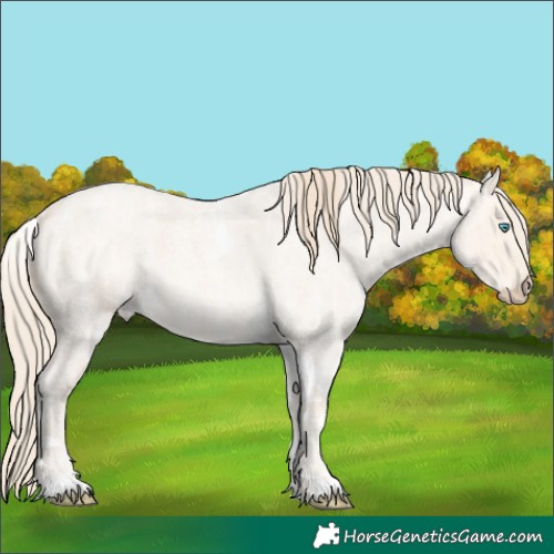 Horse Color:Perlino Ice Roan Merle Tobiano