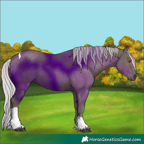 Horse Color:Silver Black Tobiano