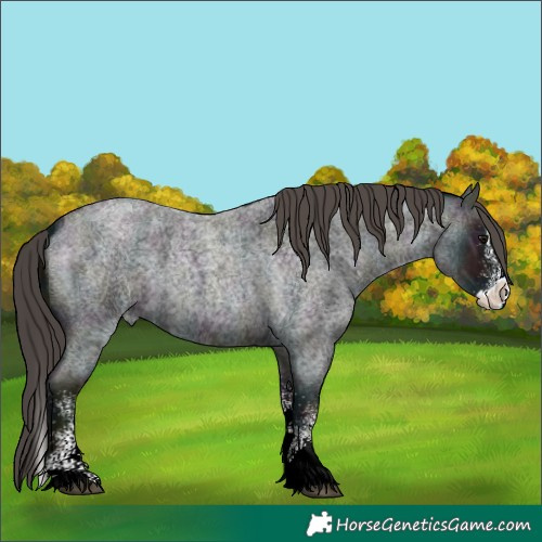Horse Color:White Spotted Midnight Smoky Blue Ice Roan Splash Skewed LP Spotted
