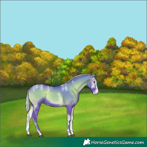 Horse Color:Powder White Watercolor Silver Blue Onyx Splash Tobiano 