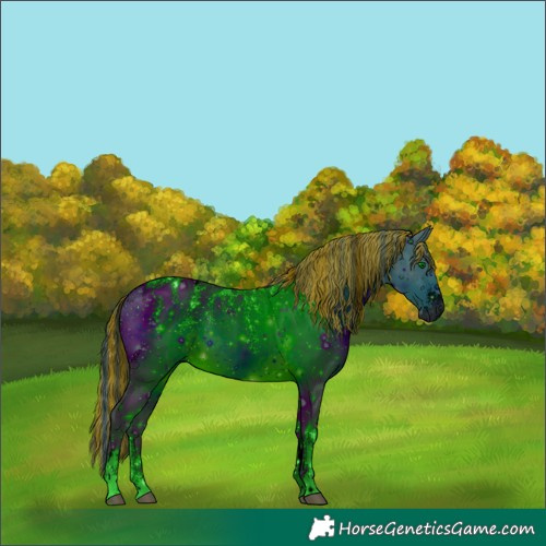 Horse Color:ERROR: UNKNOWN ANOMALY