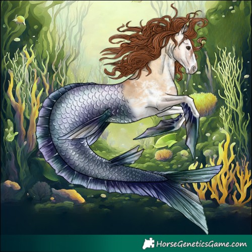 Horse Color:White Spotted Red Dun Onyx Brindle 
