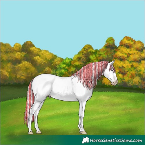 Horse Color:Powder White Gray Painted Silver Sable Cream Champagne Chinchilla Pearl