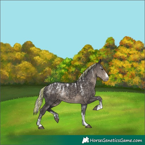 Horse Color:Powder White Painted Silver Smoky Black 
