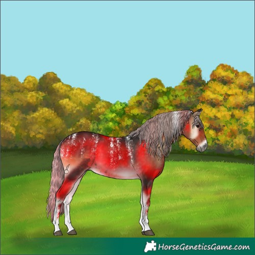 Horse Color:Powder White Gray Silver Smoky Blue Onyx