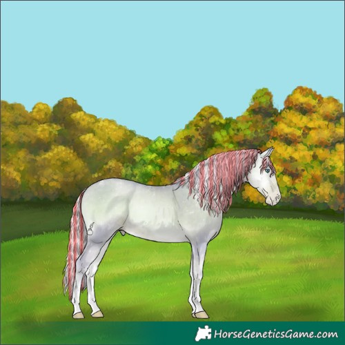 Horse Color:Powder White Painted Watercolor Silver Smoky Blue Onyx Pearl 