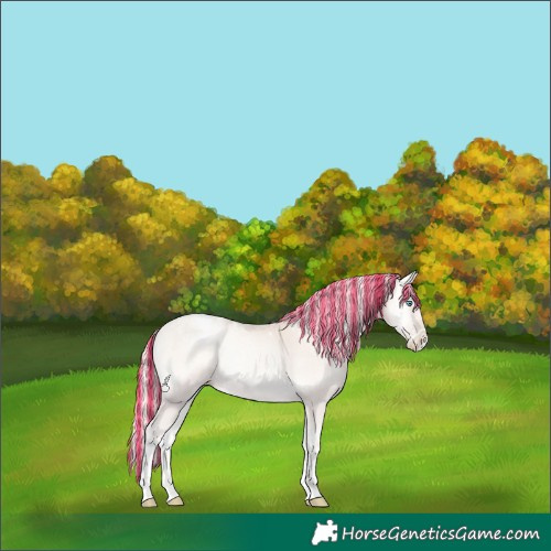 Horse Color:Powder White Painted Gold Cream Champagne Pearl Onyx Mushroom Splash 