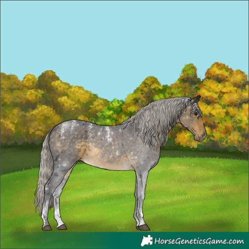 Horse Color:Powder White Silver Buckskin