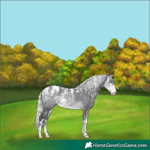 Horse Color:Powder White Gray Silver Perlino Chinchilla 