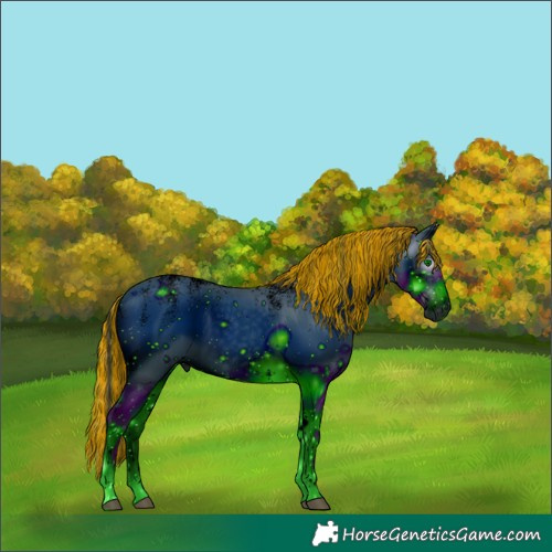 Horse Color:ERROR: UNKNOWN ANOMALY