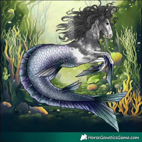 Horse Color:White Spotted Black Merle Tobiano