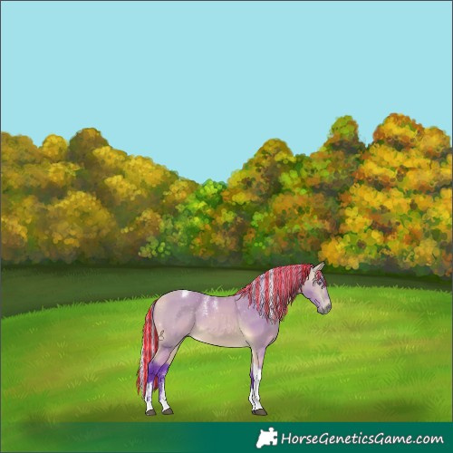 Horse Color:Powder White Painted Watercolor Silver Buckskin Chinchilla Tobiano