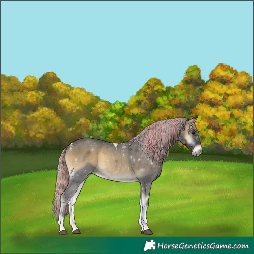 Horse Color:Powder White Painted Silver Smoky Blue Onyx Tobiano