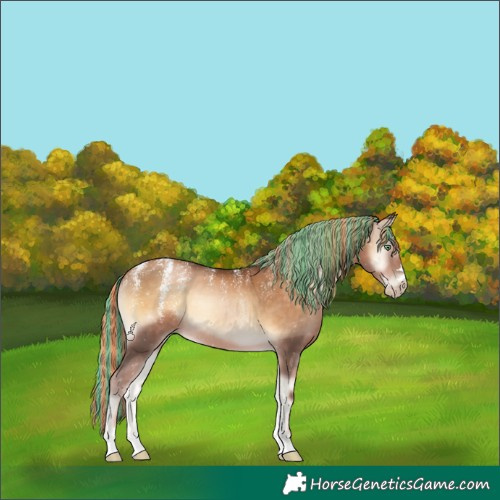 Horse Color:Powder White Gray Painted Chocolate Palomino Pearl Onyx 