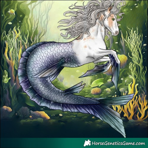 Horse Color:White Spotted Silver Classic Champagne 