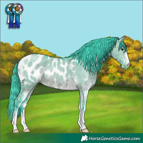 Horse Color:Watercolor White Spotted Brown Dun Appaloosa Rabicano