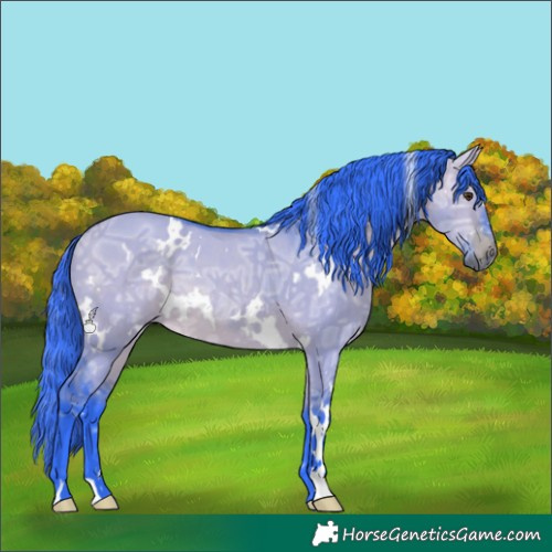Horse Color:Watercolor White Spotted Bay Ice Dun