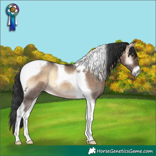 Horse Color:Brown Onyx Tobiano