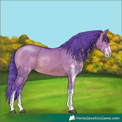 Horse Color:Watercolor White Spotted Brown Dun
