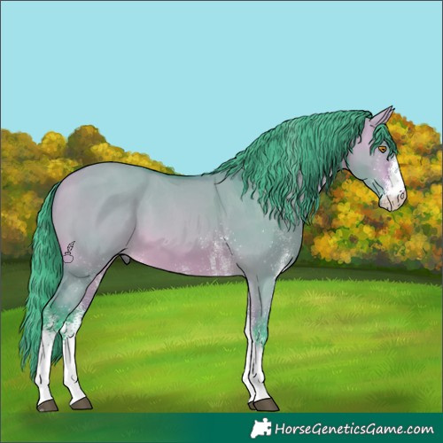 Horse Color:Watercolor White Spotted Bay Dun Tobiano