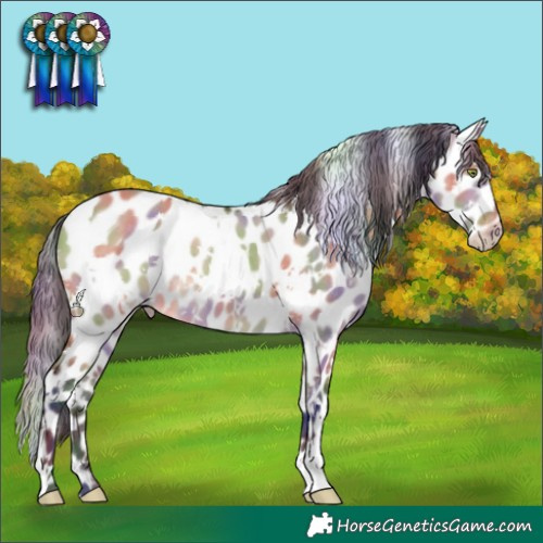 Horse Color:Nacre White Spotted Bay Dun Appaloosa 