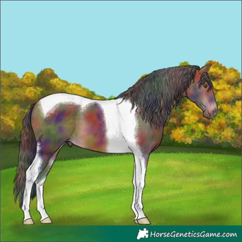 Horse Color:Nacre Bay Tobiano