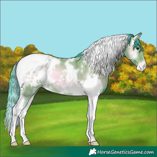 Horse Color:Watercolor White Spotted Bay Onyx Tobiano Appaloosa