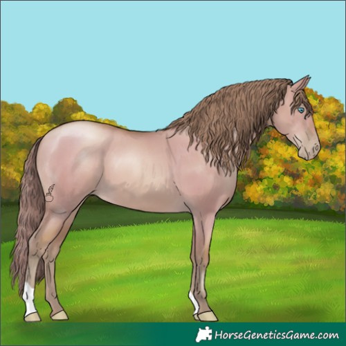 Horse Color:Watercolor Grullo Pearl