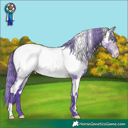 Horse Color:Watercolor White Spotted Bay Chinchilla Appaloosa