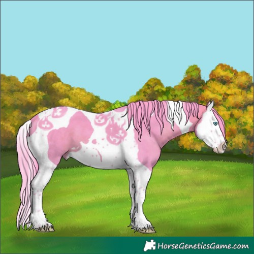 Horse Color:Watercolor Brown Splash Tobiano 