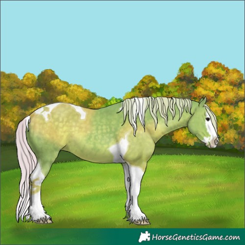 Horse Color:Watercolor Silver Black Splash Tobiano