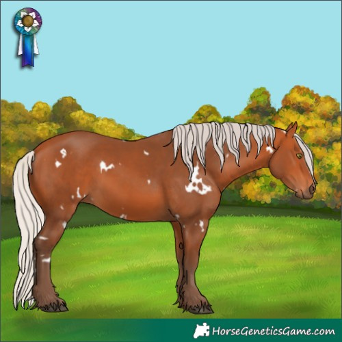 Horse Color:White Spotted Silver Bay 