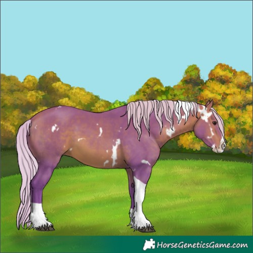 Horse Color:Watercolor White Spotted Silver Bay Splash Tobiano