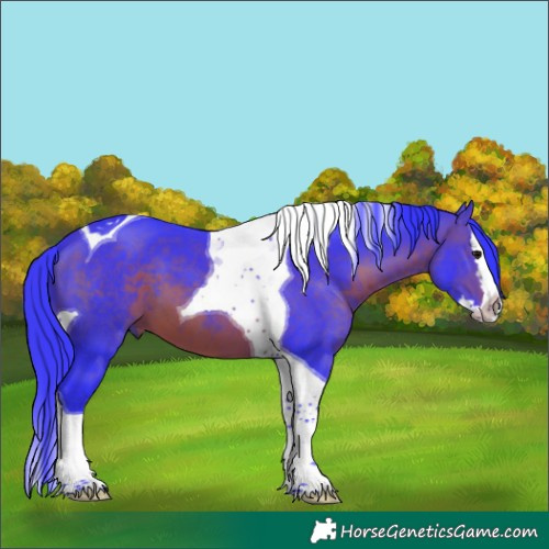 Horse Color:Watercolor Brown Splash Tobiano