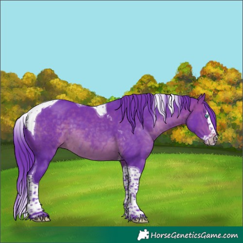 Horse Color:Watercolor Brown Splash Tobiano