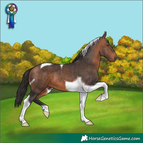 Horse Color:Bay Mushroom Tobiano 
