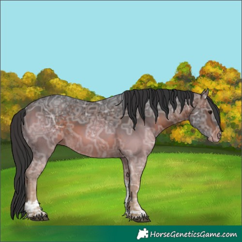 Horse Color:Brown Ice Tobiano