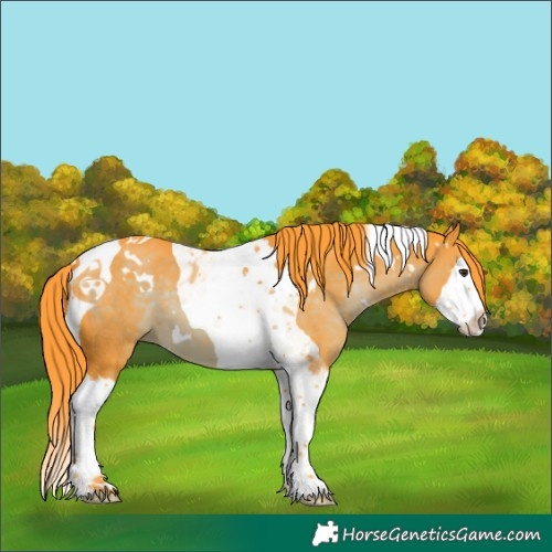 Horse Color:Watercolor White Spotted Liver Chestnut Splash Tobiano 