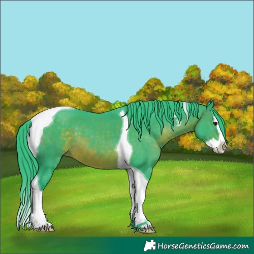 Horse Color:Watercolor Brown Splash Tobiano 