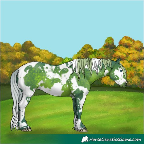 Horse Color:Watercolor Liver Chestnut Splash Tobiano 