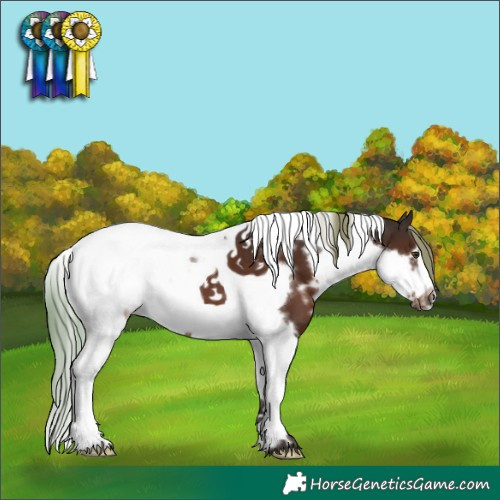 Horse Color:White Spotted Liver Chestnut Tobiano Frame 