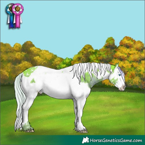 Horse Color:Watercolor White Spotted Liver Chestnut Splash Tobiano