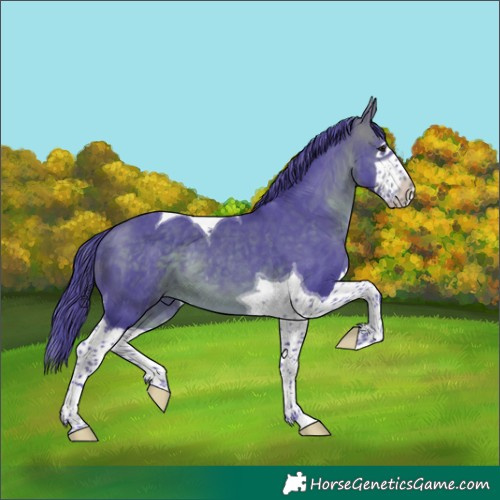 Horse Color:Watercolor Brown Splash Tobiano 